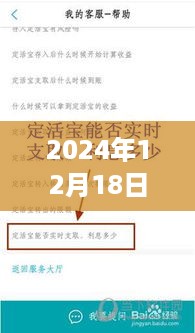 2024年实时流水申请攻略，申请策略与个人立场详解