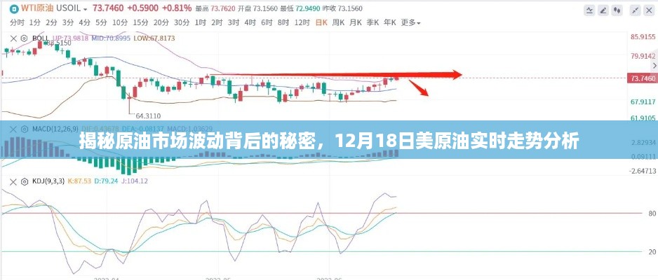 揭秘原油市场波动背后的秘密，12月18日美原油实时走势深度解析