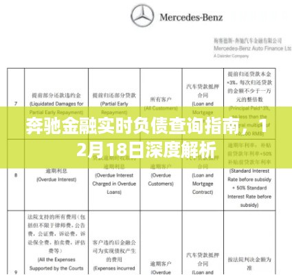 奔驰金融实时负债查询指南详解，深度解析与操作指引（12月18日版）