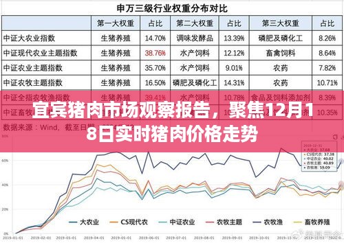 2024年12月20日 第15页