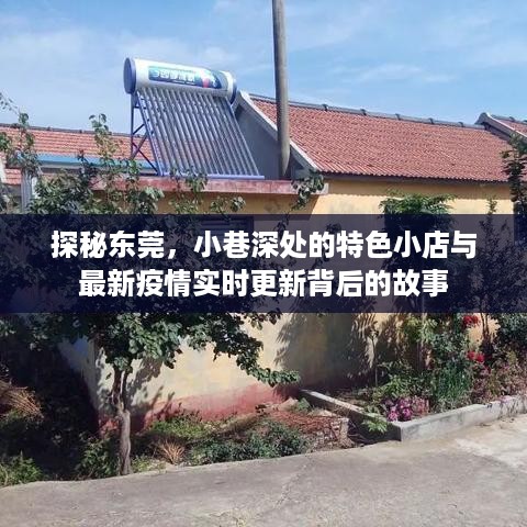 东莞探秘，小巷特色小店与疫情背后的故事