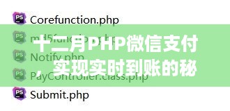 十二月PHP微信支付，实现实时到账的秘诀及案例深度解析