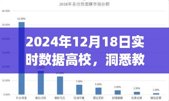 洞悉教育新动向，探索未来高校新蓝图（实时数据报告，2024年12月）