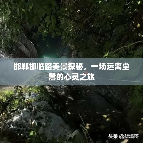 探访邯郸邯临路美景，心灵之旅远离尘嚣