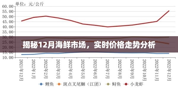 揭秘，12月海鲜市场最新价格走势分析