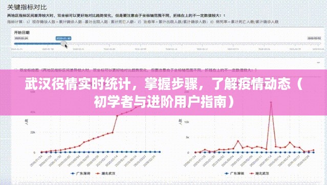 武汉疫情实时统计全解析，从初学者到进阶用户的疫情动态指南