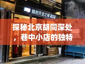 探秘北京胡同深处的独特魅力，巷中小店与实时流量揭秘