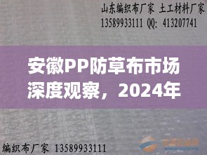 安徽PP防草布市场深度解析，实时报价背后的故事（2024年12月18日）