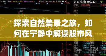 自然美景与股市风云的双重解读，宁静中的股市动态与实时数据解析