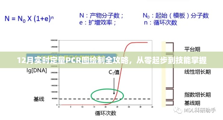 从零起步掌握，12月实时定量PCR图绘制全攻略