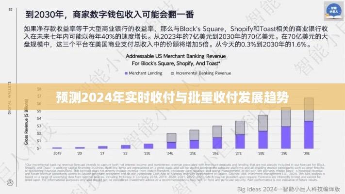 2024年实时收付与批量收付发展趋势预测分析