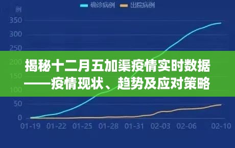 揭秘十二月五加渠疫情实时数据，现状、趋势与应对策略全解析