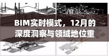 BIM实时模式，深度洞察与领域重塑在十二月展望