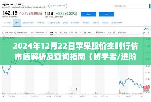 苹果股价实时行情解析及查询指南，从初学者到进阶用户