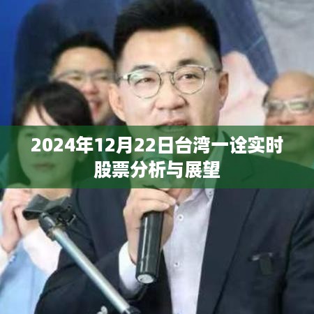 台湾股市实时解析与未来展望，2024年12月22日深度剖析及展望