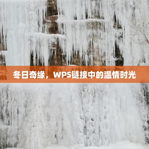 冬日奇缘，WPS链接中的暖心时光