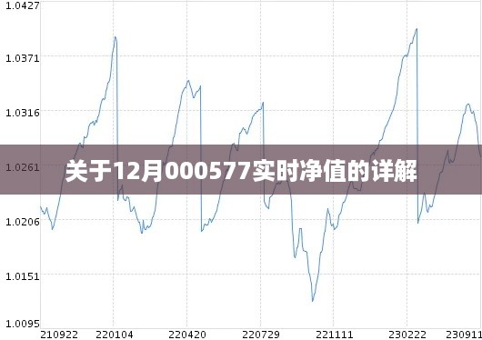 12月000577实时净值详解