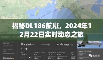 独家揭秘，DL186航班实时动态之旅，探寻未来航班动态展望