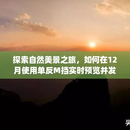 探索自然美景之旅，如何用单反M挡实时预览，在冬季发现内心平静之道