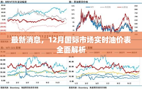 2024年12月24日 第12页