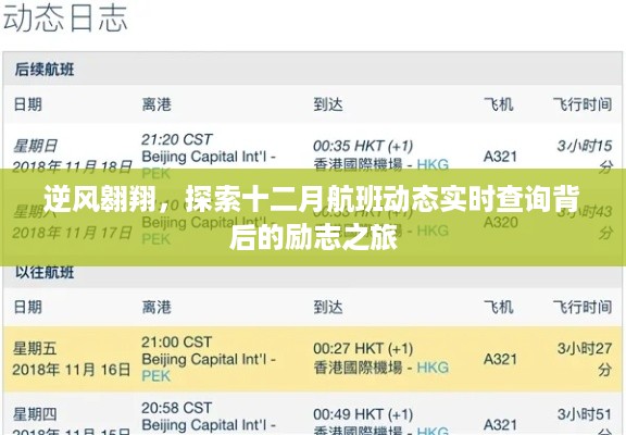 逆风翱翔，十二月航班动态实时查询背后的探索之旅
