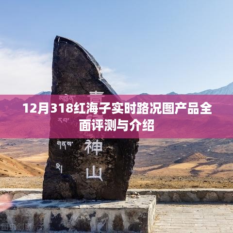 12月318红海子实时路况图产品深度评测与全面介绍