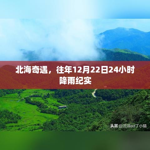 北海奇遇，历年12月22日全天候降雨纪实