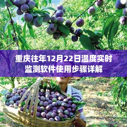 重庆12月22日温度实时监测软件使用指南