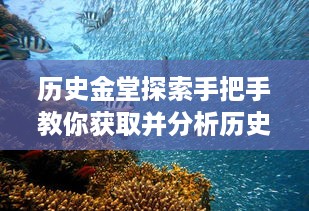 手把手教你获取并分析历史上的金堂实时动态图，探索历史金堂在12月22日的变迁