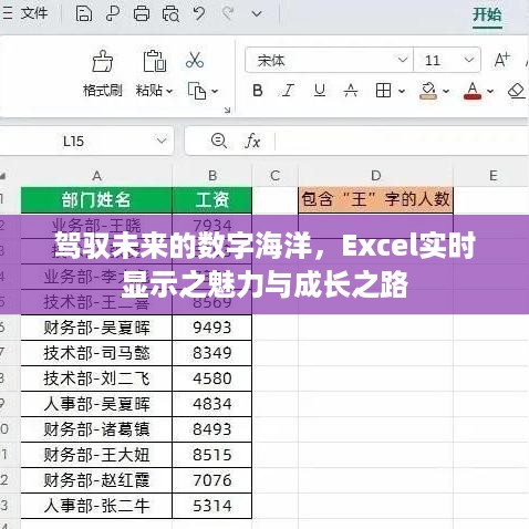 驾驭数字海洋，Excel实时显示功能的魅力与成长之路