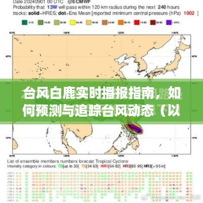 台风白鹿追踪指南，如何预测与实时播报台风动态（以2024年为例）