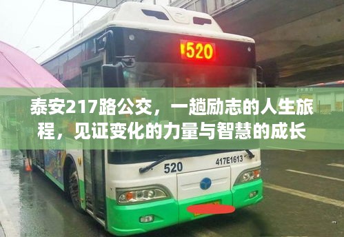 泰安217路公交，励志人生旅程，见证智慧成长的力量