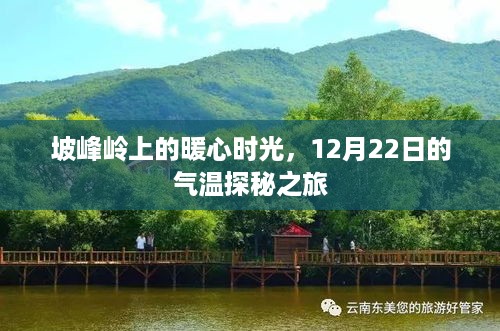 坡峰岭暖心时光，探寻气温奥秘的探秘之旅（12月22日）