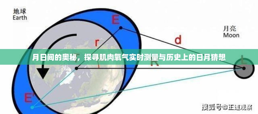 肌肉氧气实时测量与日月猜想的奥秘探索