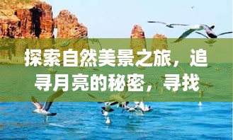 探寻自然奥秘之旅，揭开月亮秘密，寻觅内心宁静与和谐之境