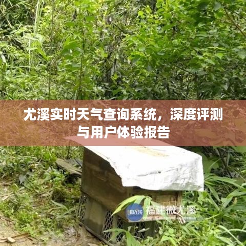 尤溪实时天气查询系统深度评测与用户体验报告摘要