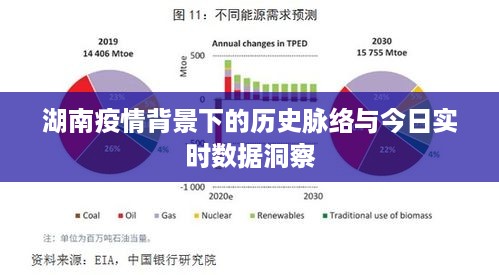 湖南疫情背景下的历史脉络与实时数据洞察报告