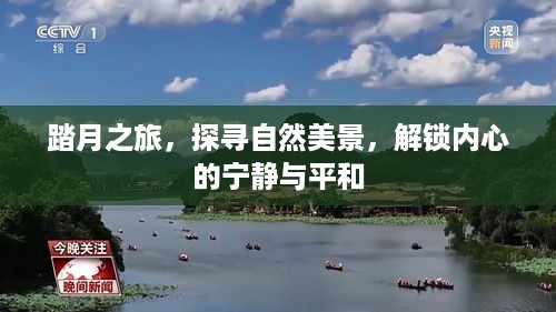 踏月之旅，探寻自然美景，解锁内心宁静与平和的奥秘