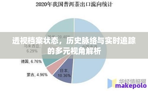 档案状态多元视角解析，历史脉络、实时追踪与透视分析