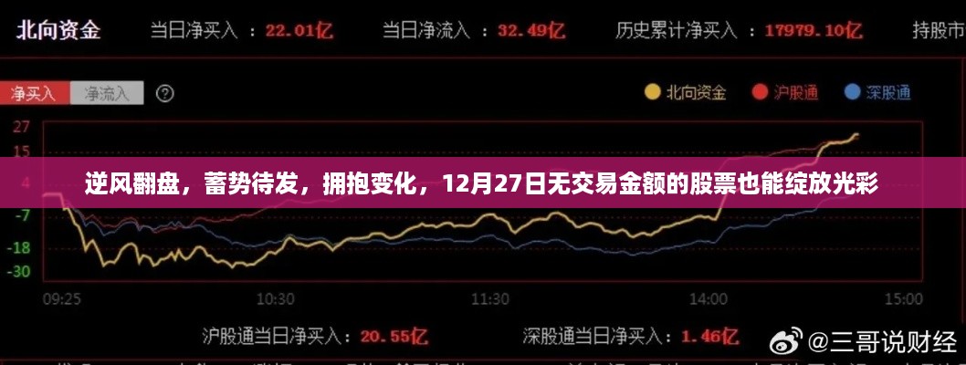 逆风翻盘，蓄势待发，无交易金额股票在12月27日的独特光彩