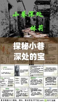 探秘小巷深处的宝藏，实时物价查询指南（12月27日版）