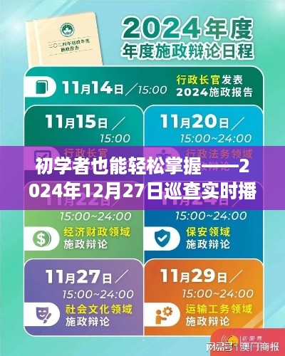 初学者指南，掌握实时巡查播报任务详解步骤（2024年12月27日）