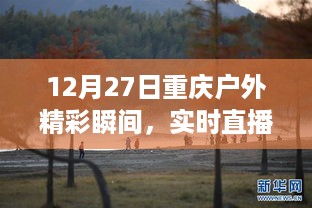 重庆冬韵实时直播，户外精彩瞬间领略山城风光