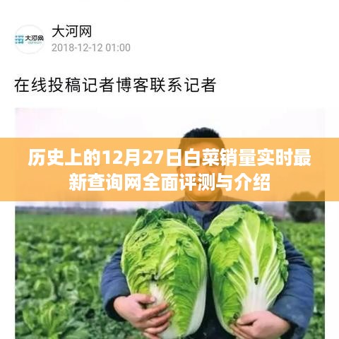 白菜销量实时查询网评测与介绍，历史12月27日全面解读