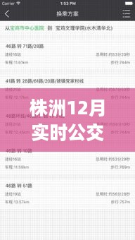 株洲公交出行攻略，实时公交查询指南，轻松掌握公交动态，无忧出行