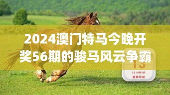 2024澳门特马今晚开奖56期的骏马风云争霸赛