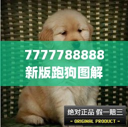 7777788888新版跑狗图解析：赛犬运动的科学评估工具