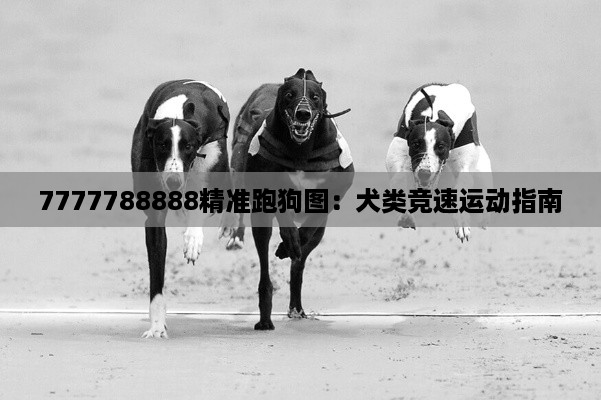 7777788888精准跑狗图：犬类竞速运动指南