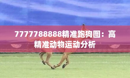 7777788888精准跑狗图：高精准动物运动分析