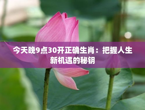 今天晚9点30开正确生肖：把握人生新机遇的秘钥